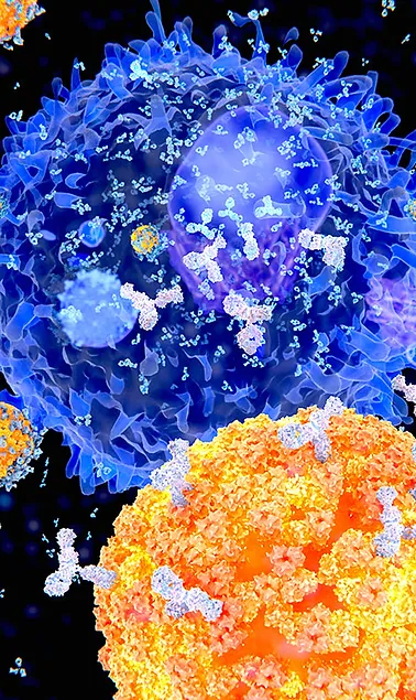 Read more about the article Autoimmune diseases